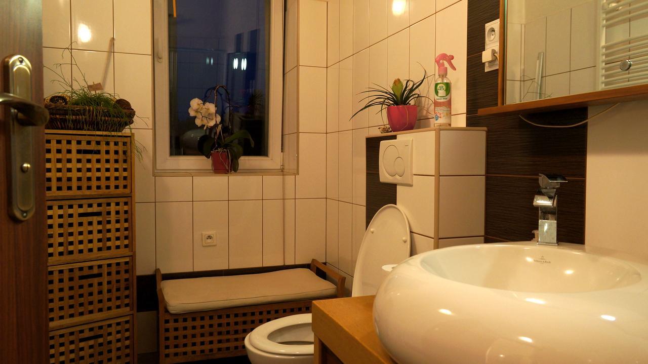 Česká KameniceU Salonu Virginiaアパートメント エクステリア 写真